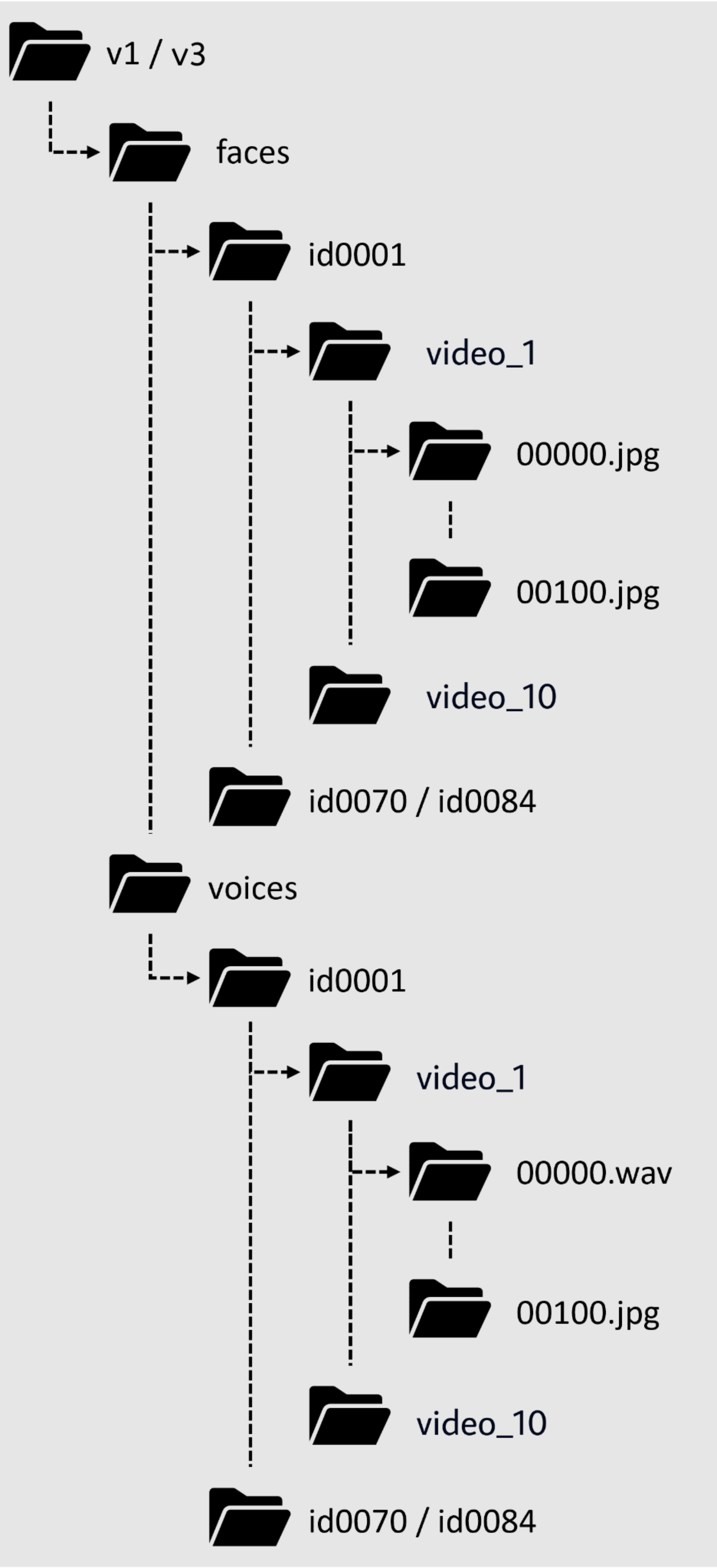 Dataset Structure